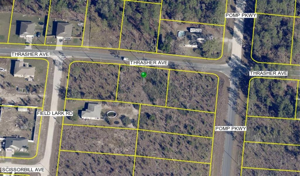 13101 THRASHER AVENUE, Weeki Wachee, FL 34614