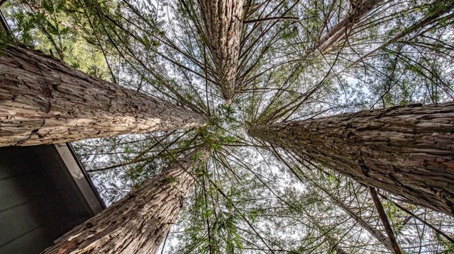 7456 Sir Francis Drake Blvd, Lagunitas, CA 94938