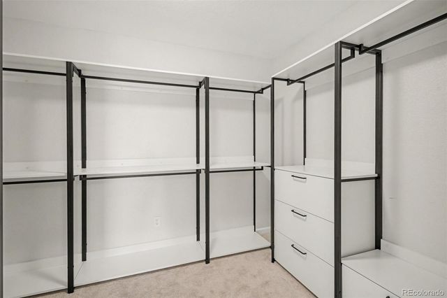 2005 Fox Haven Drive, Castle Rock, CO 80104