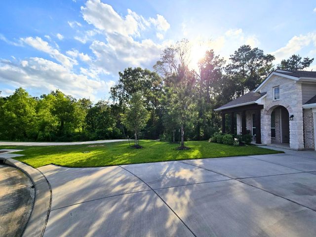 3205 Climbing Gardens Court, Conroe, TX 77301
