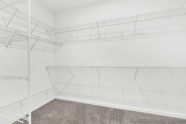 637 Woodrush Dr, Clarksville, TN 37040