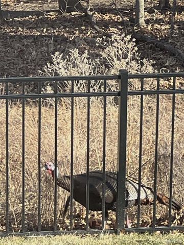 17498 Wyman Ridge Drive, Eureka, MO 63025