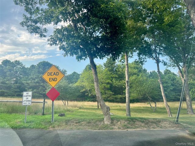 230 Lakeside Trail, Ridge, NY 11961