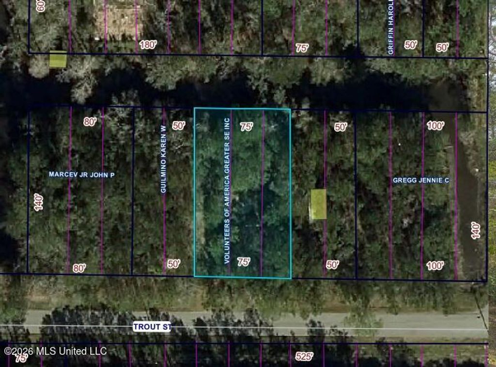 5028 Trout Street, Bay Saint Louis, MS 39520