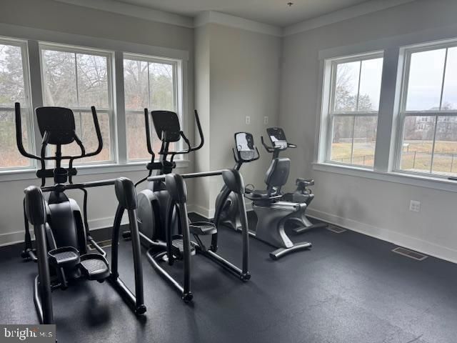 43489 BETTYS FARM DR, Chantilly, VA 20152