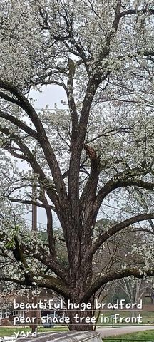 11 El Paso Drive, Greenville, SC 29617