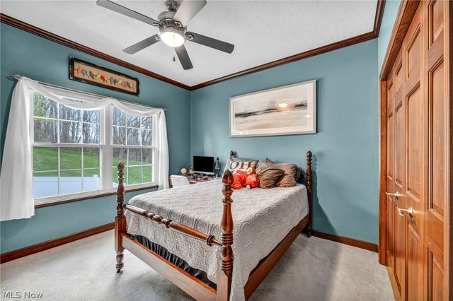 3519 Lake Ridge Drive, Medina, OH 44256