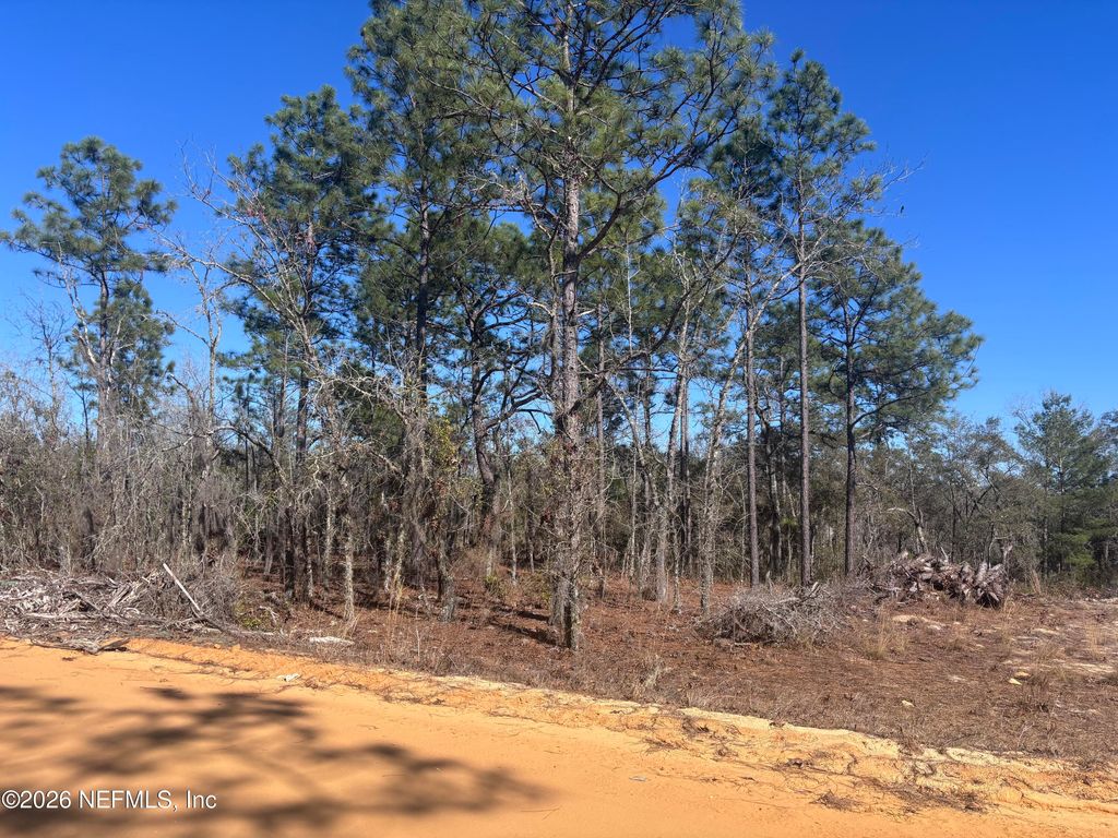 0 VIOLET Avenue, Interlachen, FL 32148