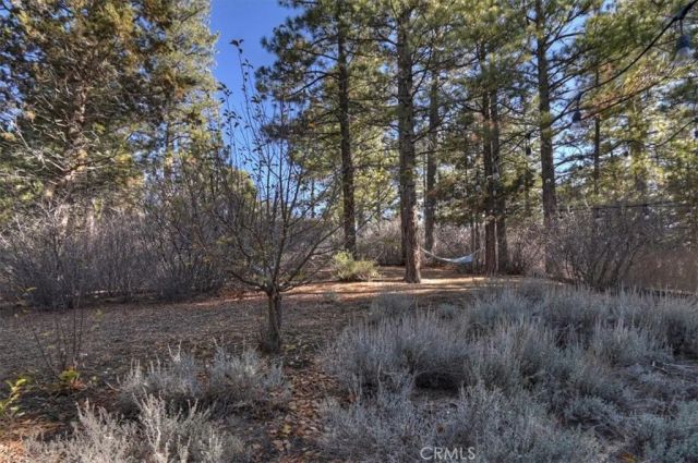 383 Catalina, Big Bear Lake, CA 92315