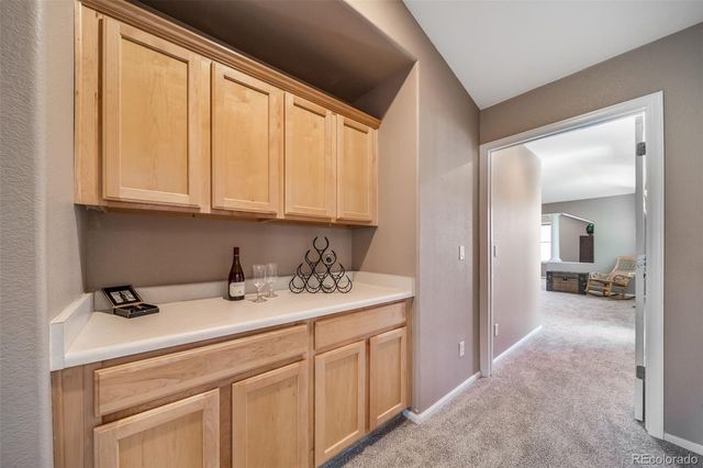 16533 Red Brush Place, Parker, CO 80134