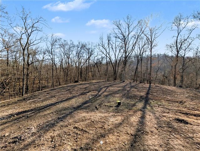 12 Aycock Lane, Bella Vista, AR 72715