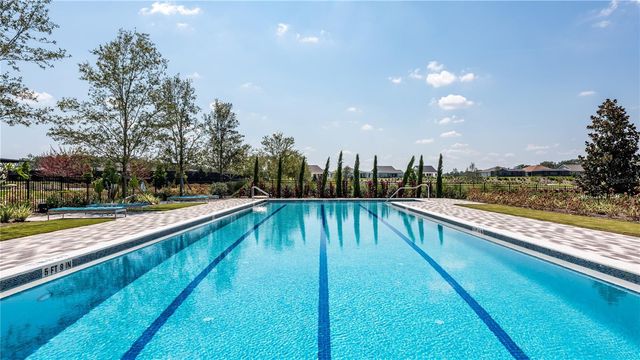 4359 NW 54TH TERRACE, Ocala, FL 34482