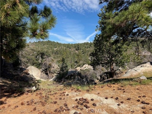 33363 Forrest, Running Springs, CA 92382