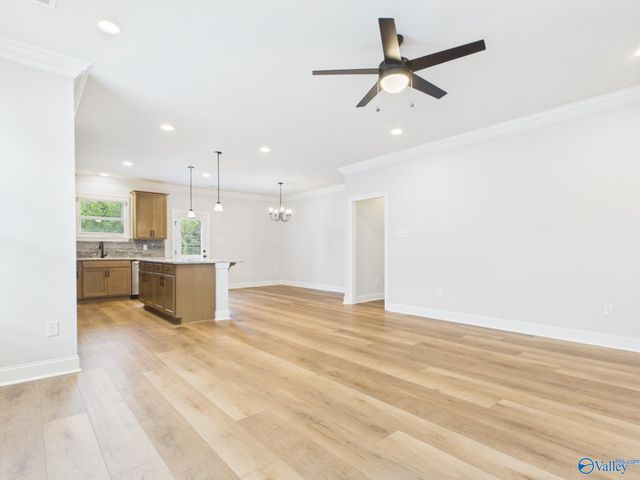 15573 Bees Street, Harvest, AL 35759