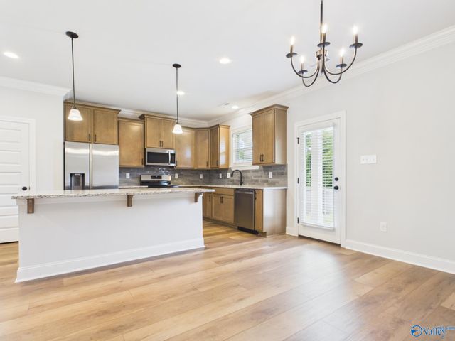 15573 Bees Street, Harvest, AL 35759