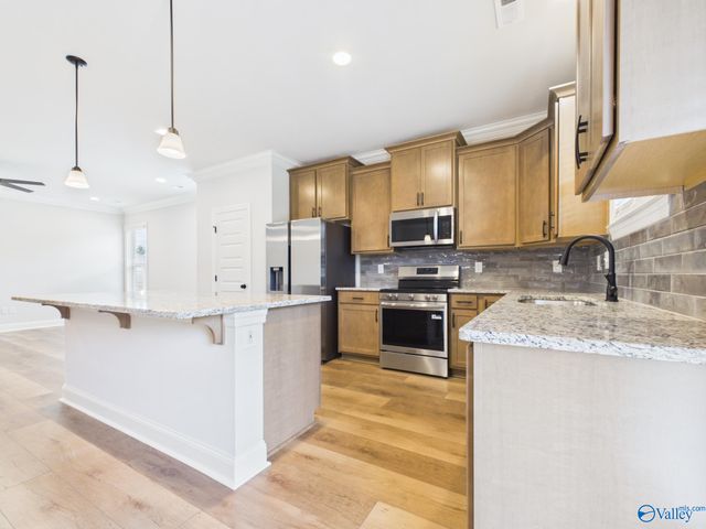 15573 Bees Street, Harvest, AL 35759