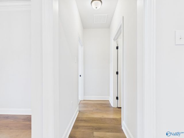 15573 Bees Street, Harvest, AL 35759