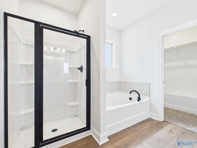 15573 Bees Street, Harvest, AL 35759