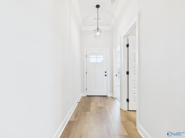 15573 Bees Street, Harvest, AL 35759