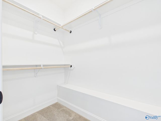 15573 Bees Street, Harvest, AL 35759