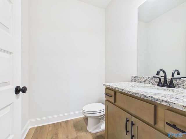15573 Bees Street, Harvest, AL 35759