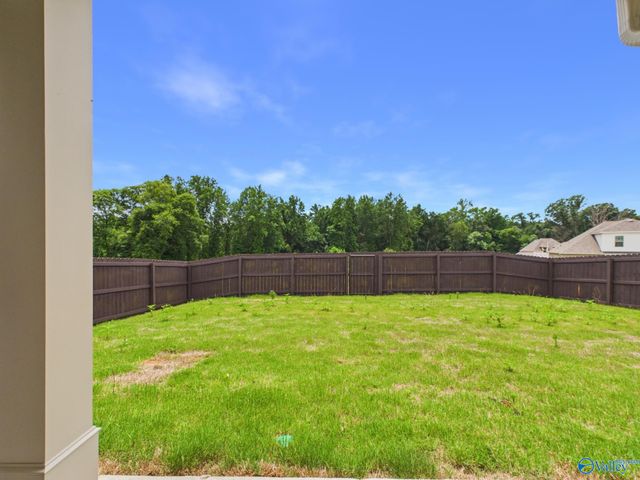 15573 Bees Street, Harvest, AL 35759