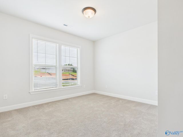 15573 Bees Street, Harvest, AL 35759