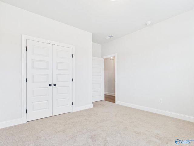 15573 Bees Street, Harvest, AL 35759