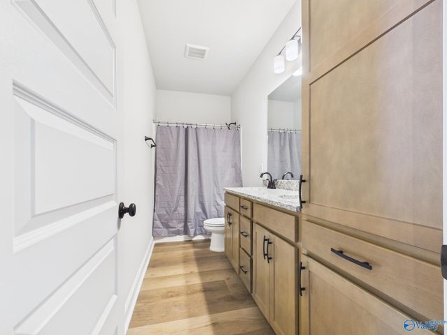 15573 Bees Street, Harvest, AL 35759