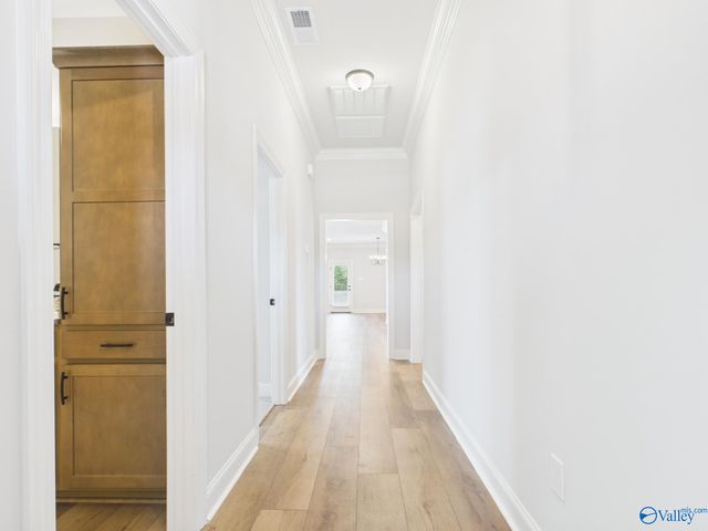 15573 Bees Street, Harvest, AL 35759