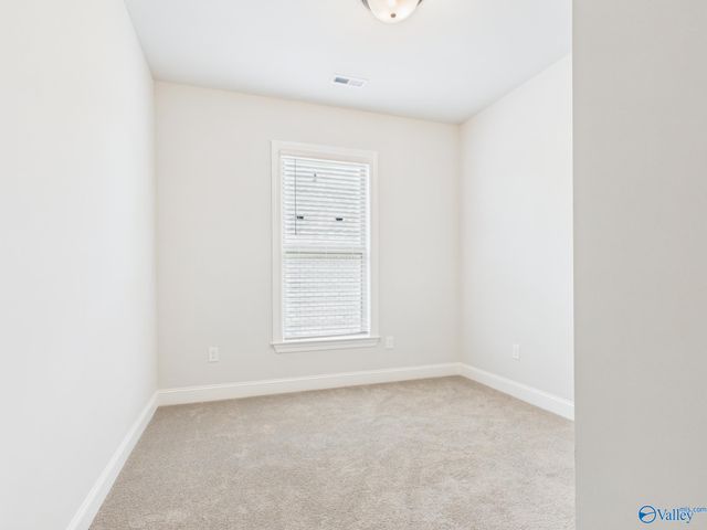 15573 Bees Street, Harvest, AL 35759
