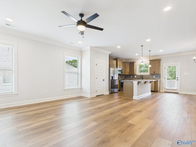 15573 Bees Street, Harvest, AL 35759