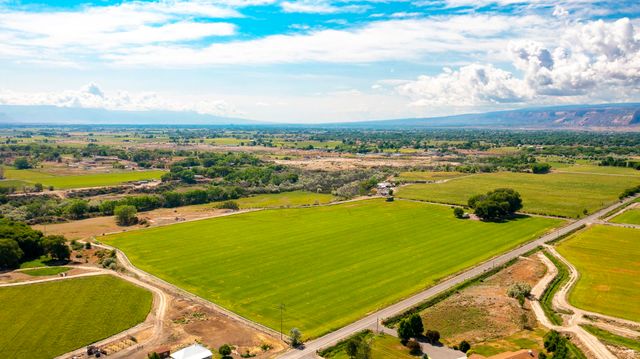 1710 M Road, Fruita, CO 81521