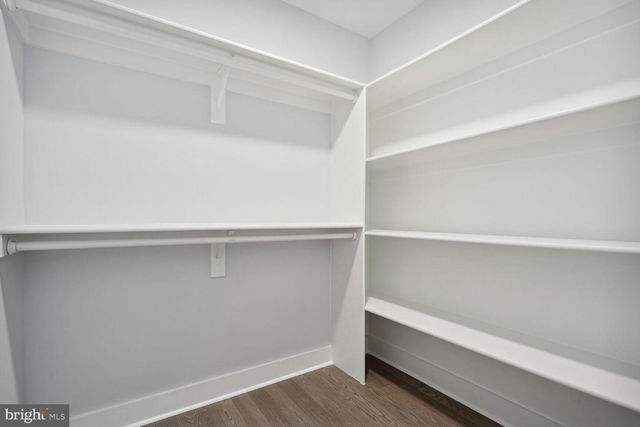 8616 JONES MILL RD, Chevy Chase, MD 20815