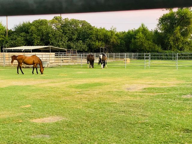 5576 S Butte Rd, Yuba City, CA 95993