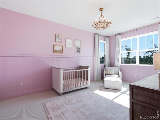 14196 Currant Street, Broomfield, CO 80020