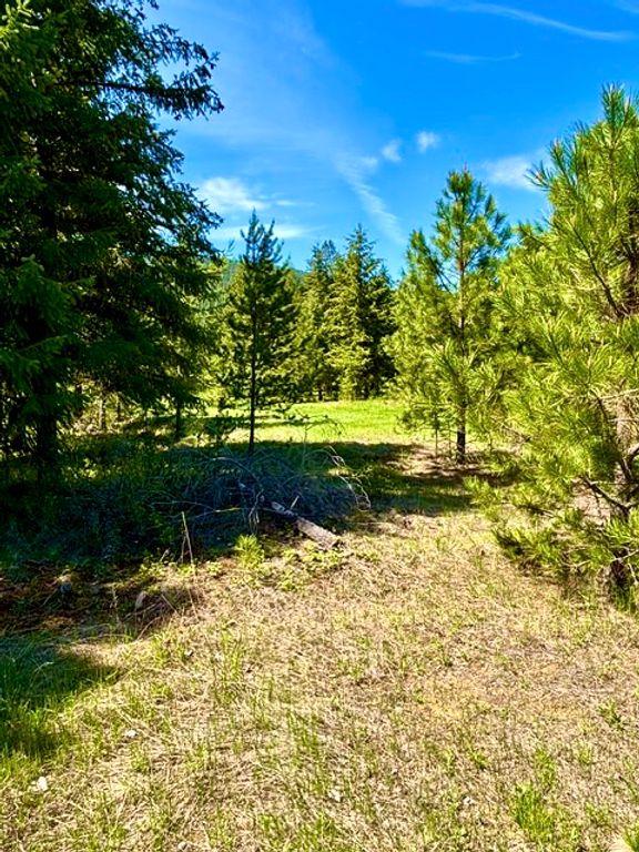 Lot 7 Fairview Drive, Other, MT 59866 photo 17