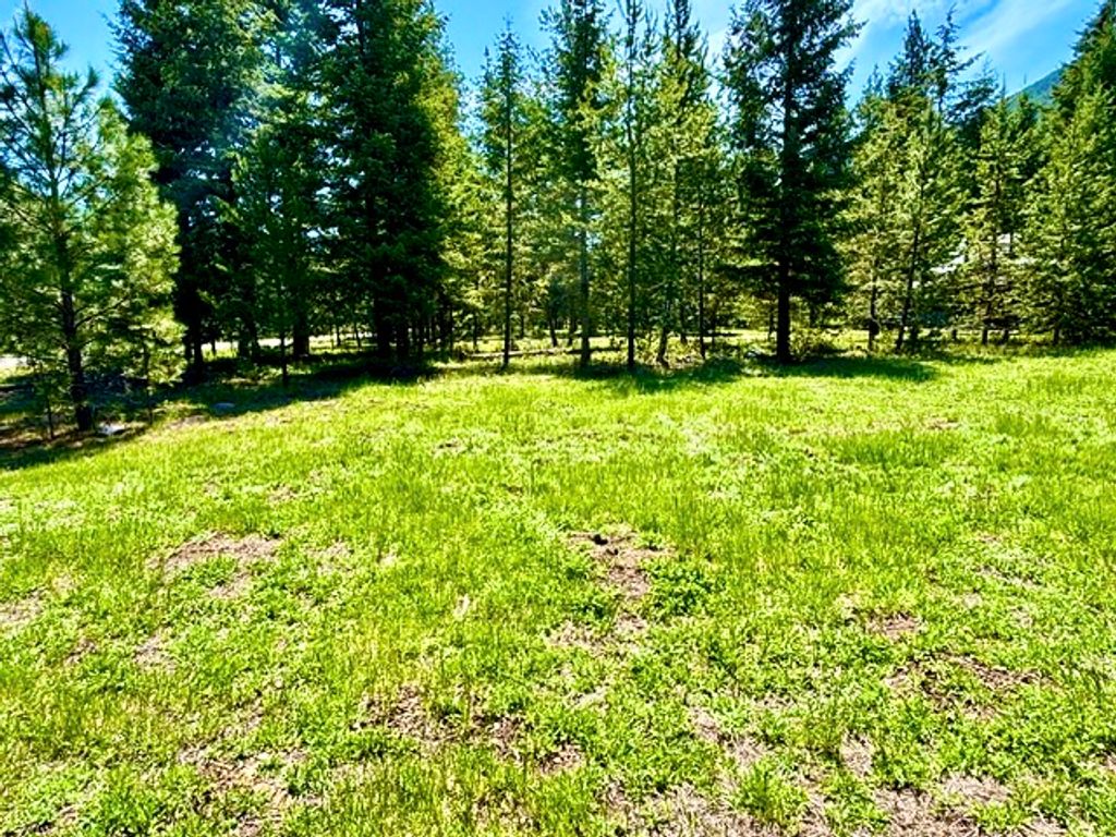 Lot 7 Fairview Drive, Other, MT 59866 photo 20