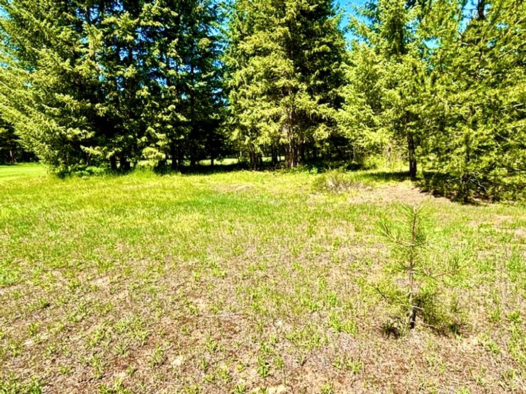 Lot 7 Fairview Drive, Other, MT 59866 photo 22