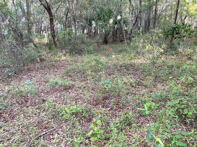 Lots 11.12 SW SHOREWOOD DRIVE, Dunnellon, FL 34431