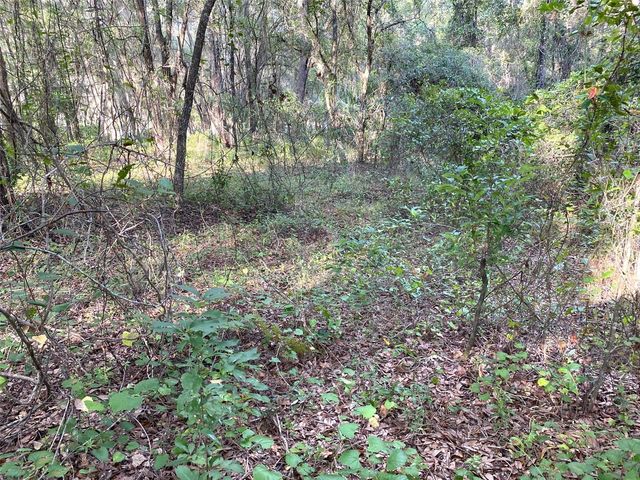 Lots 11.12 SW SHOREWOOD DRIVE, Dunnellon, FL 34431