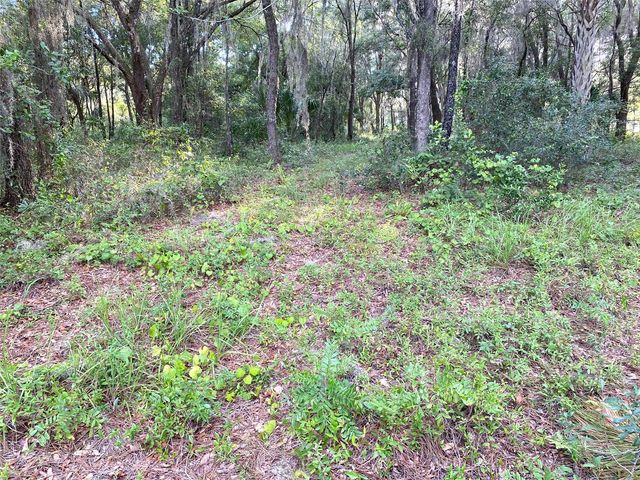 Lots 11.12 SW SHOREWOOD DRIVE, Dunnellon, FL 34431