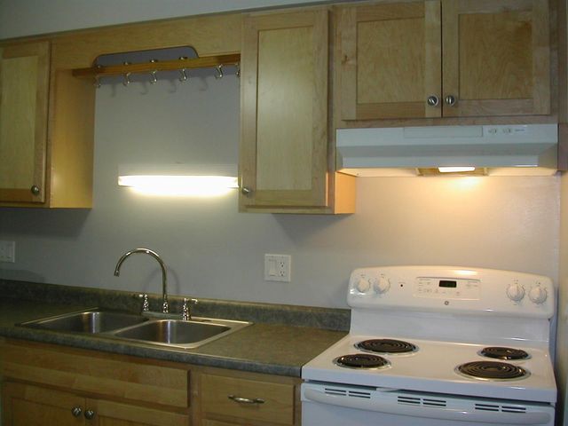 245 Brookridge Court 1, Ann Arbor, MI 48103