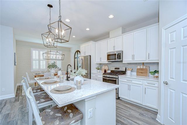 4438 TUBULAR RUN, Land O Lakes, FL 34638
