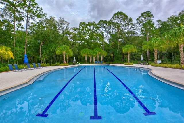 4438 TUBULAR RUN, Land O Lakes, FL 34638