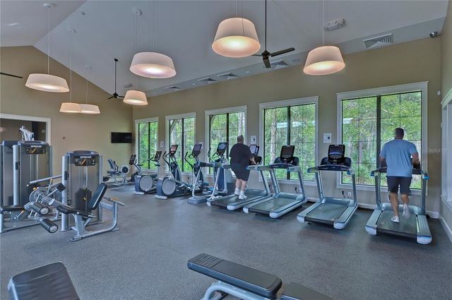 4438 TUBULAR RUN, Land O Lakes, FL 34638