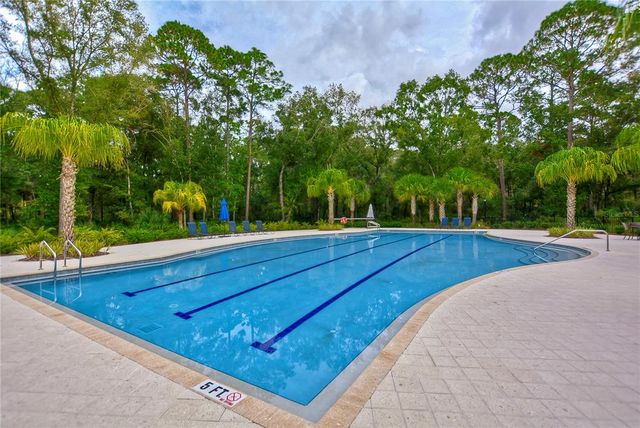 4438 TUBULAR RUN, Land O Lakes, FL 34638