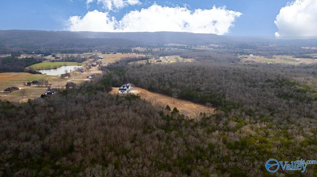 124 Cedar Trace Drive, Hartselle, AL 35640