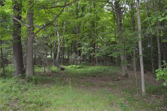 7447 Armstrong Road, Manlius, NY 13104