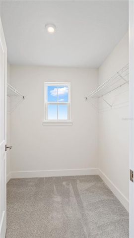 30269 RUSTIC MILL STREET, Mount Dora, FL 32757